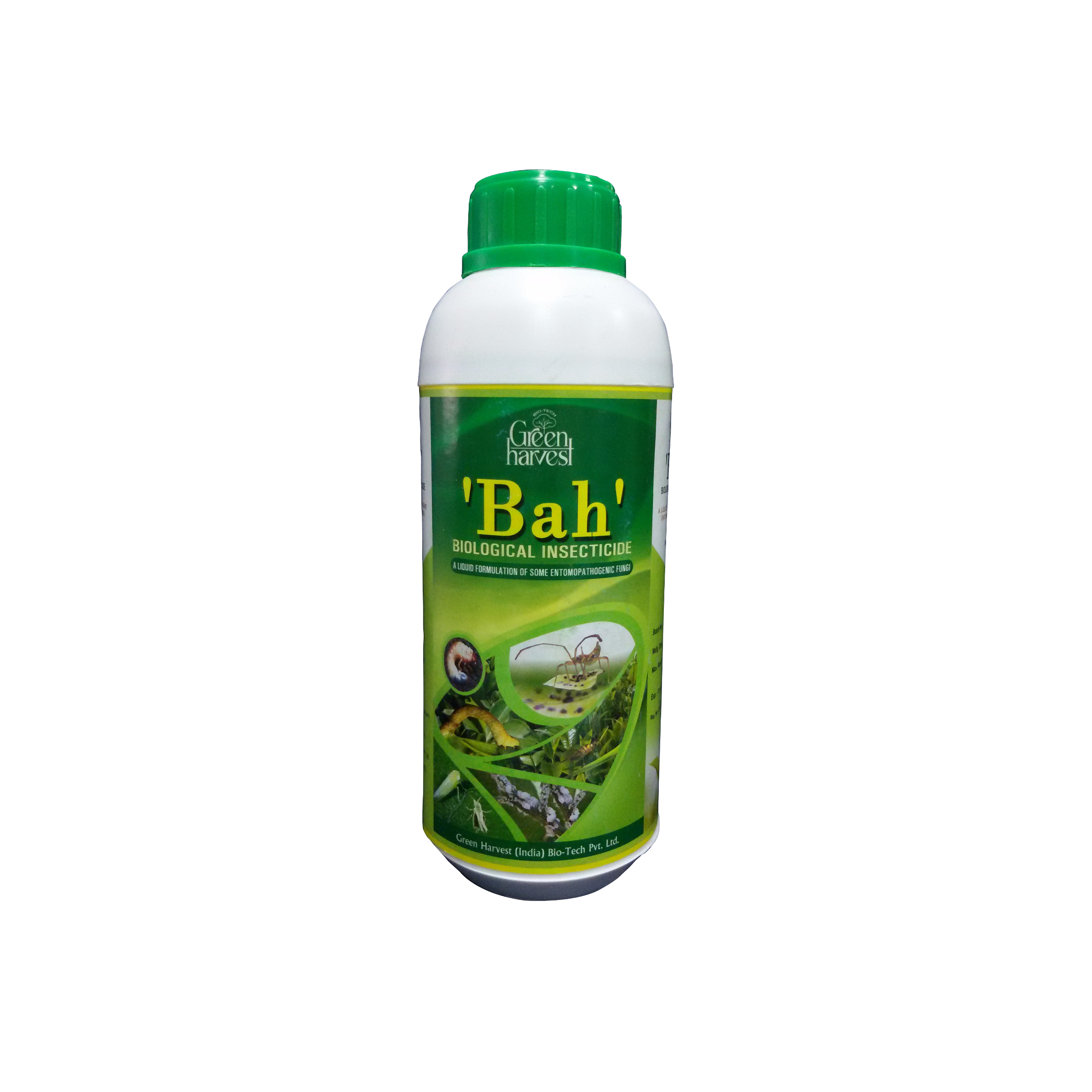 BAH